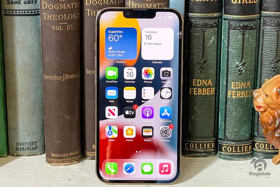 iPhone 13 Pro 256GB iPhone 13 Pro 256GB
