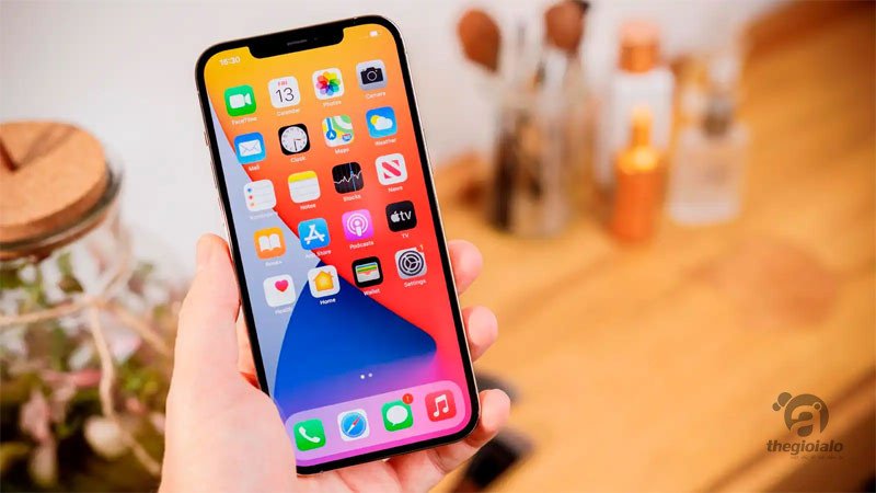 iPhone 12 Pro Max Like New