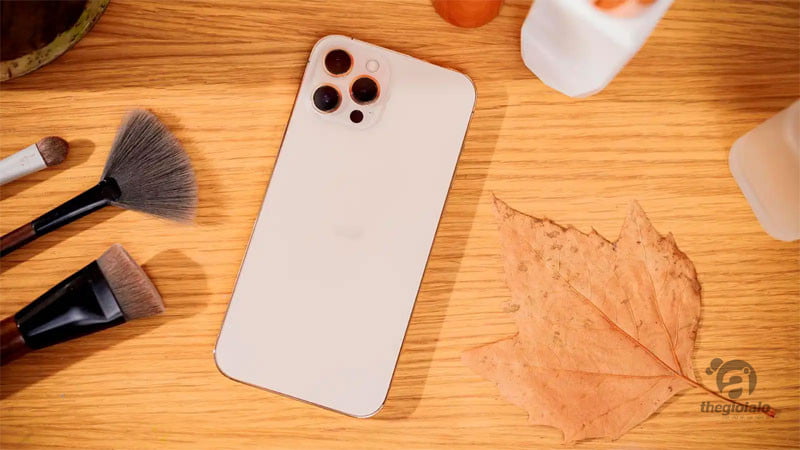 iPhone 12 Pro Max