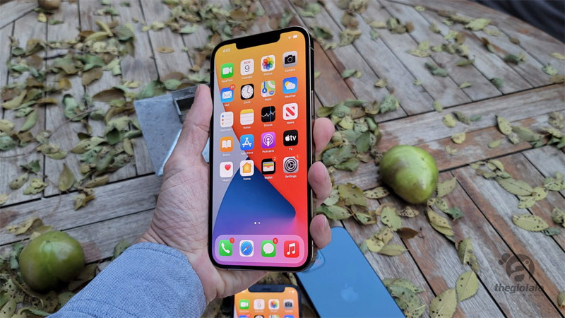 iPhone 12 Pro Max Like New